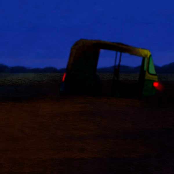 THE ENDLESS NIGHT  