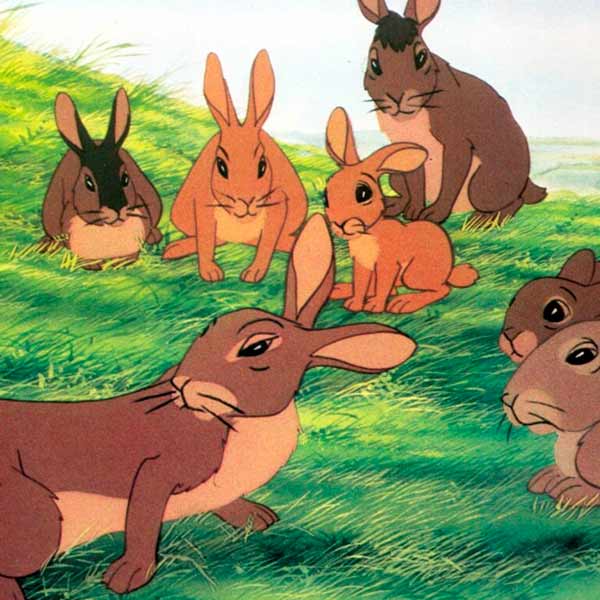 WATERSHIP DOWN (LA COLINA DE WATERSHIP)